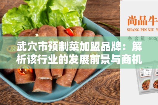 武穴市预制菜加盟品牌：解析该行业的发展前景与商机