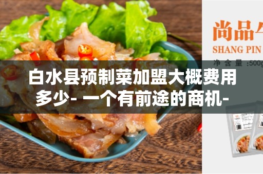 白水县预制菜加盟大概费用多少- 一个有前途的商机-