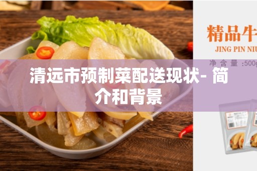 清远市预制菜配送现状- 简介和背景