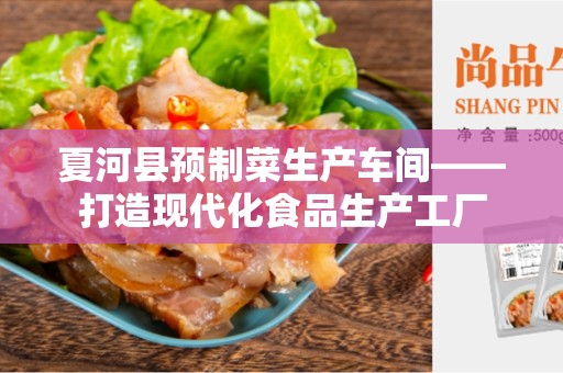 夏河县预制菜生产车间——打造现代化食品生产工厂