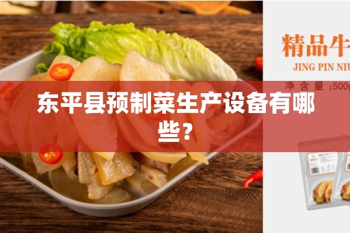 东平县预制菜生产设备有哪些？