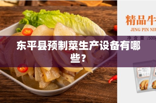 东平县预制菜生产设备有哪些？