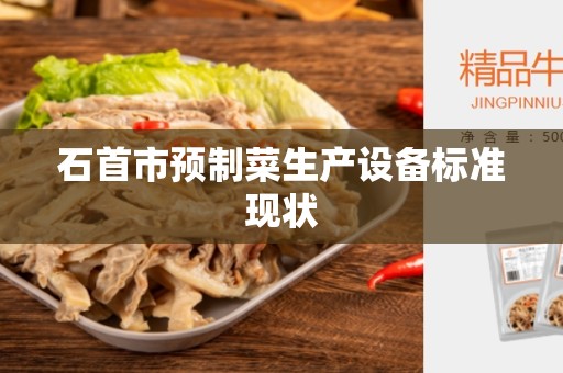 石首市预制菜生产设备标准现状