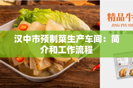 汉中市预制菜生产车间：简介和工作流程