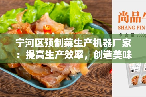 宁河区预制菜生产机器厂家：提高生产效率，创造美味佳肴