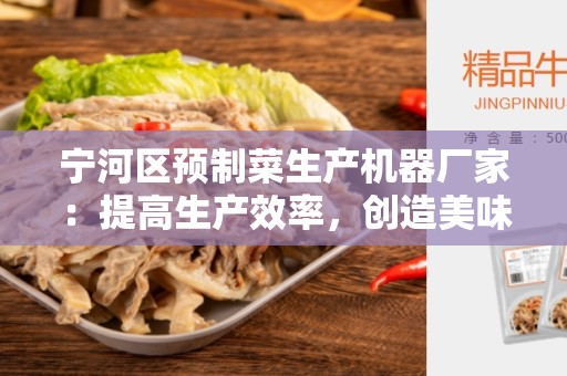 宁河区预制菜生产机器厂家：提高生产效率，创造美味佳肴