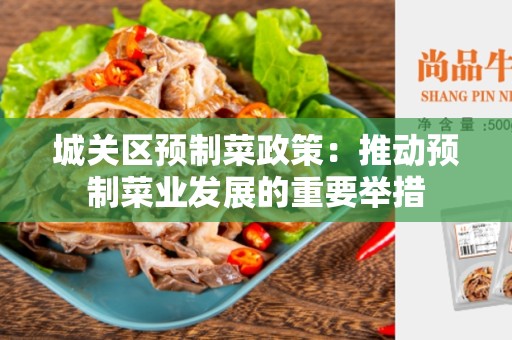 城关区预制菜政策：推动预制菜业发展的重要举措