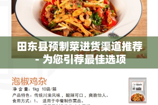 田东县预制菜进货渠道推荐 - 为您引荐最佳选项