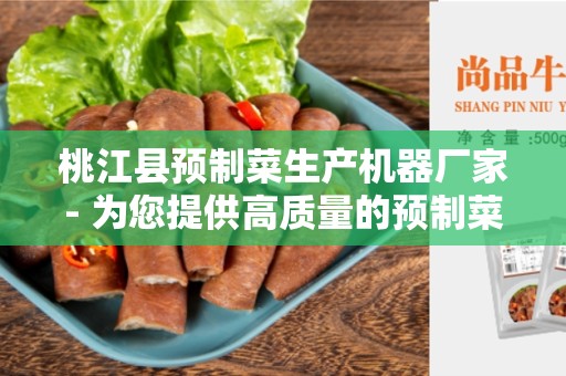桃江县预制菜生产机器厂家- 为您提供高质量的预制菜生产机器