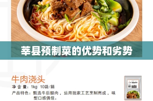 莘县预制菜的优势和劣势