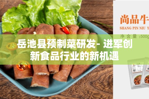 岳池县预制菜研发- 进军创新食品行业的新机遇