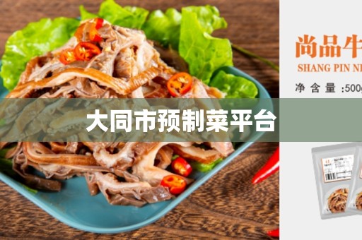 大同市预制菜平台