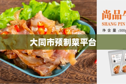 大同市预制菜平台