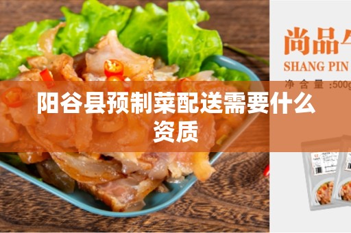阳谷县预制菜配送需要什么资质