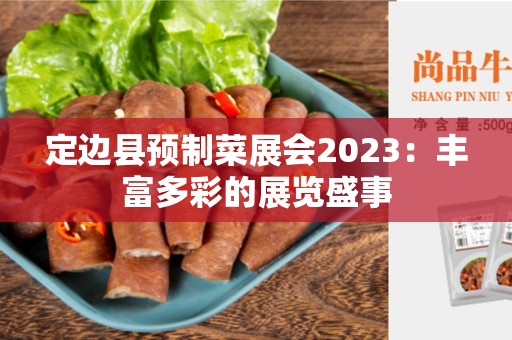 定边县预制菜展会2023：丰富多彩的展览盛事