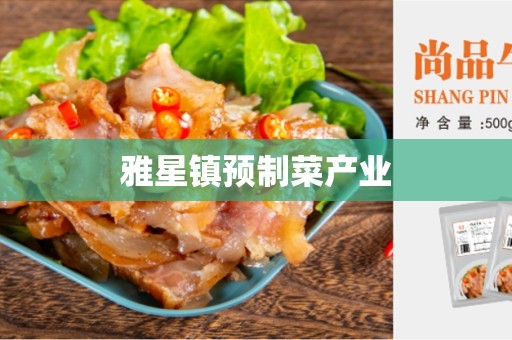 雅星镇预制菜产业