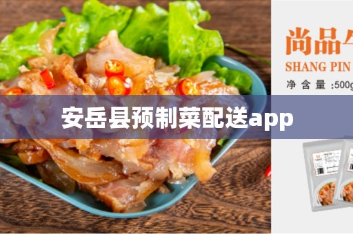 安岳县预制菜配送app