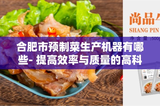 合肥市预制菜生产机器有哪些- 提高效率与质量的高科技设备