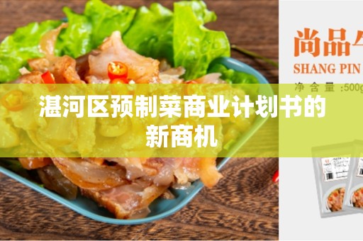 湛河区预制菜商业计划书的新商机
