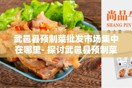 武邑县预制菜批发市场集中在哪里- 探讨武邑县预制菜批发市场的地理位置和特点