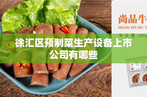 徐汇区预制菜生产设备上市公司有哪些