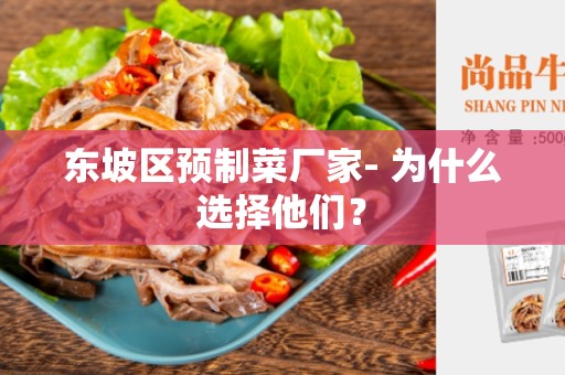 东坡区预制菜厂家- 为什么选择他们？