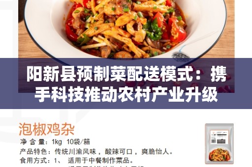 阳新县预制菜配送模式：携手科技推动农村产业升级