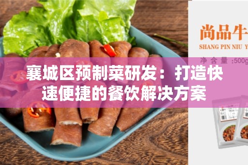襄城区预制菜研发：打造快速便捷的餐饮解决方案