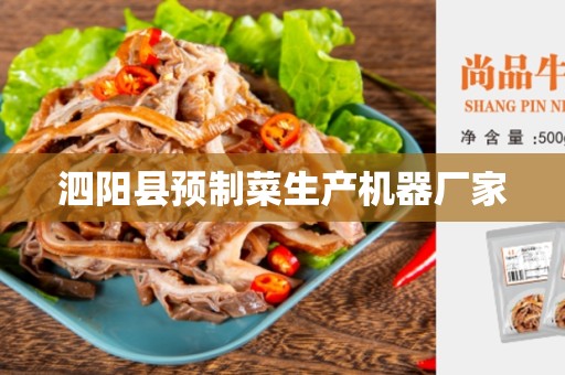 泗阳县预制菜生产机器厂家