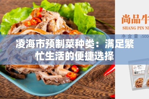 凌海市预制菜种类：满足繁忙生活的便捷选择