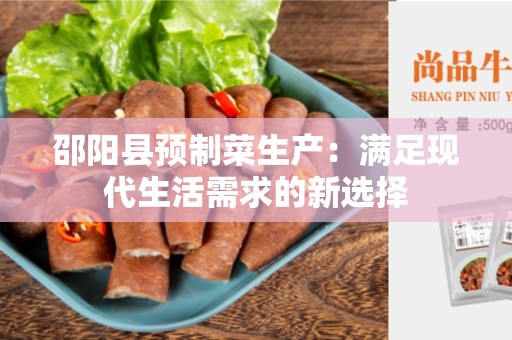 邵阳县预制菜生产：满足现代生活需求的新选择