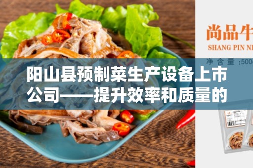阳山县预制菜生产设备上市公司——提升效率和质量的首选
