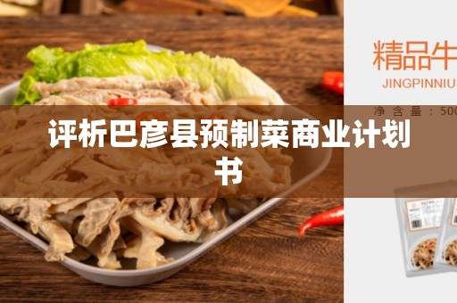 评析巴彦县预制菜商业计划书