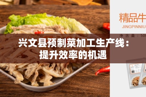 兴文县预制菜加工生产线：提升效率的机遇