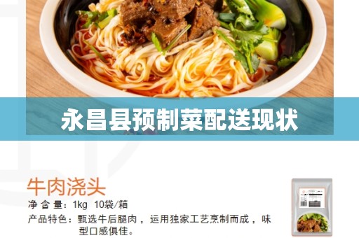 永昌县预制菜配送现状