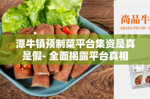 潭牛镇预制菜平台集资是真是假- 全面揭露平台真相