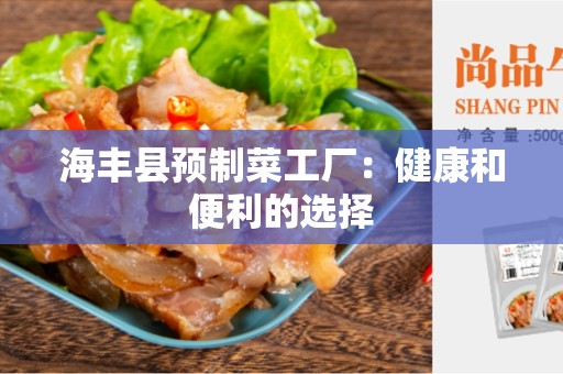 海丰县预制菜工厂：健康和便利的选择