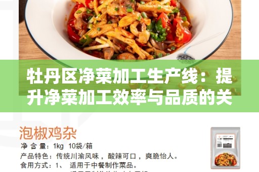 牡丹区净菜加工生产线：提升净菜加工效率与品质的关键
