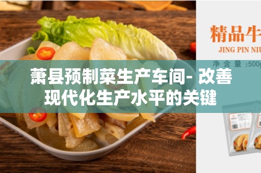 萧县预制菜生产车间- 改善现代化生产水平的关键
