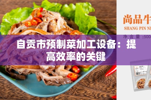 自贡市预制菜加工设备：提高效率的关键