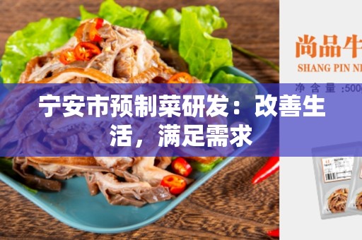 宁安市预制菜研发：改善生活，满足需求