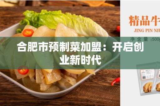 合肥市预制菜加盟：开启创业新时代
