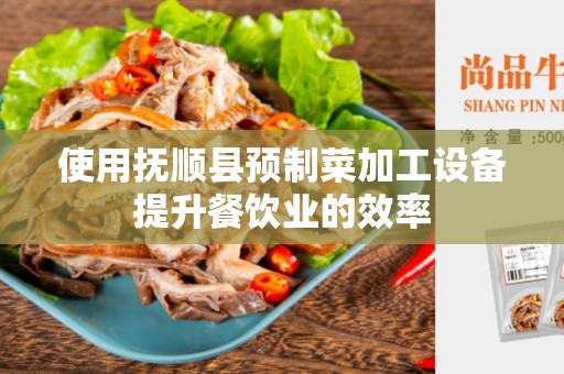 使用抚顺县预制菜加工设备提升餐饮业的效率