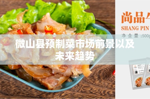 微山县预制菜市场前景以及未来趋势