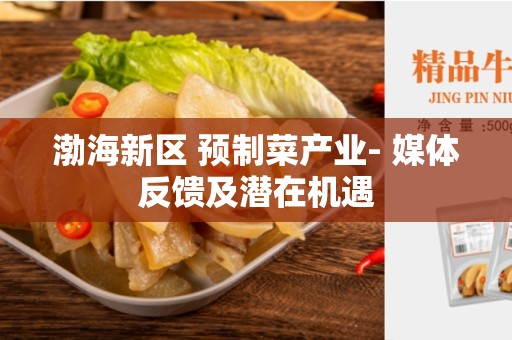 渤海新区 预制菜产业- 媒体反馈及潜在机遇