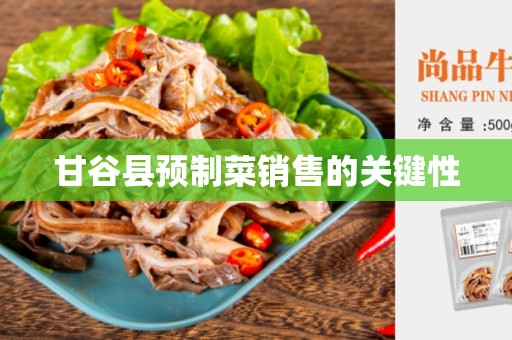 甘谷县预制菜销售的关键性