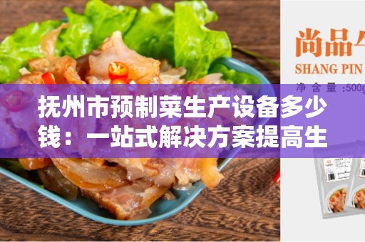 抚州市预制菜生产设备多少钱：一站式解决方案提高生产效益