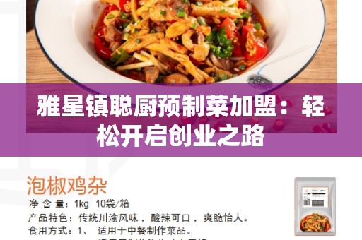 雅星镇聪厨预制菜加盟：轻松开启创业之路