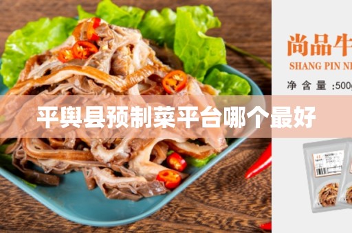 平舆县预制菜平台哪个最好