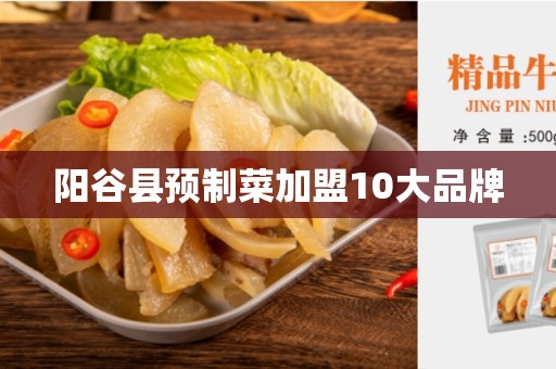 阳谷县预制菜加盟10大品牌